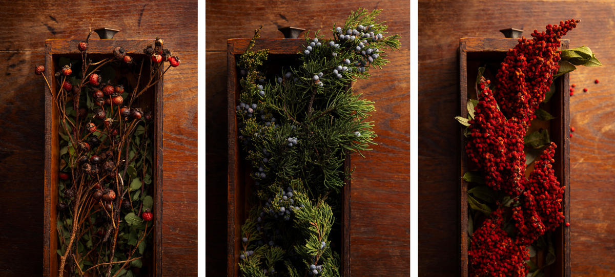 ksm-edible-nature