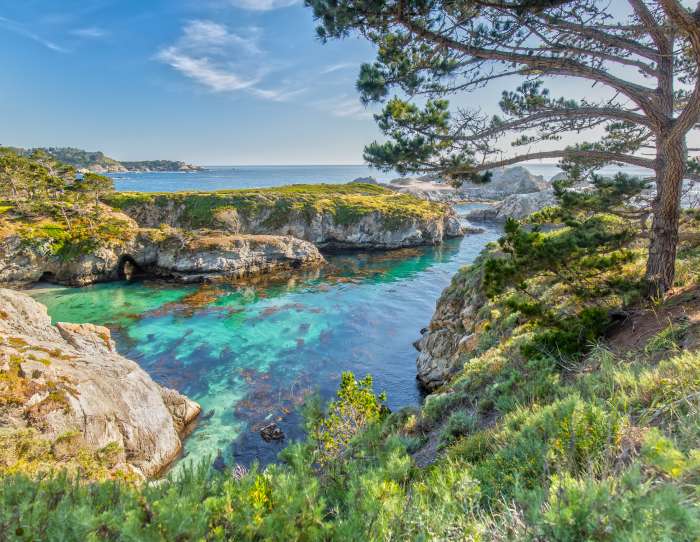 Point Lobos, Carmel CA