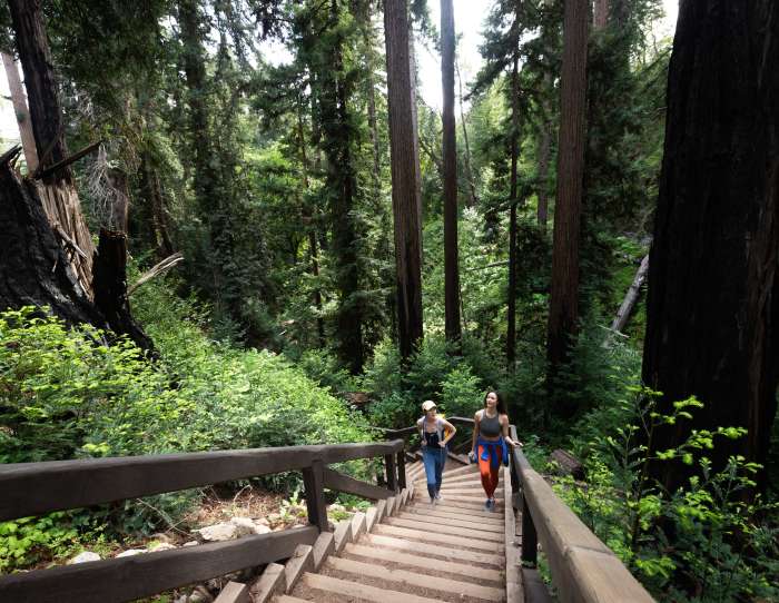 This is an image of two women hiking up stairs on the Pfeiffer Falls Trail in Big Sur. They are hiking towards the camera, surrounded by massive lush and green redwood trees.