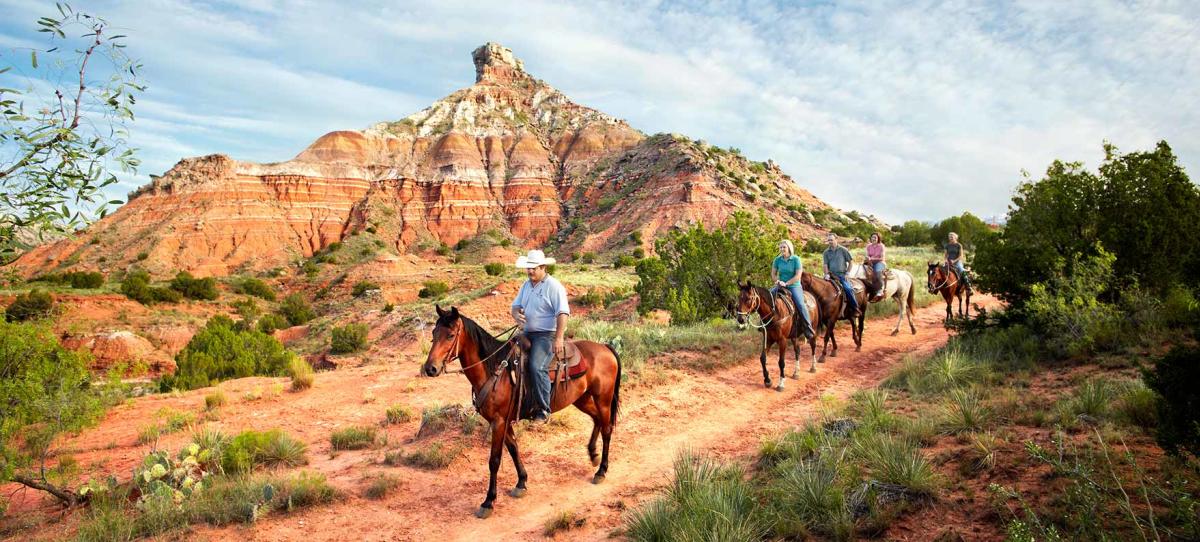 palo duro horses