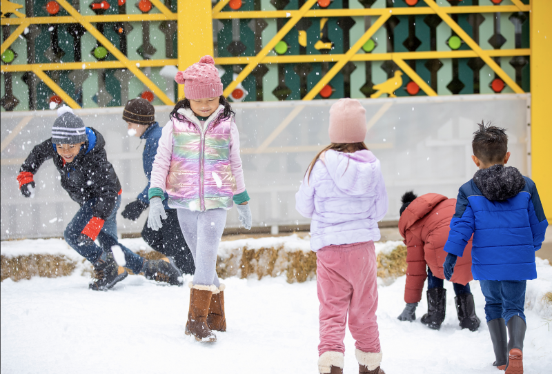 Polar Palooza Show Days