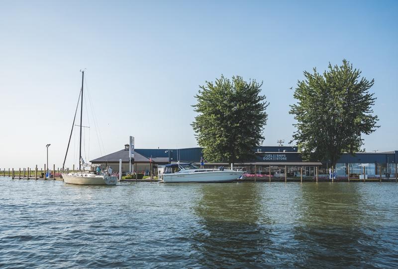 Safe Harbor