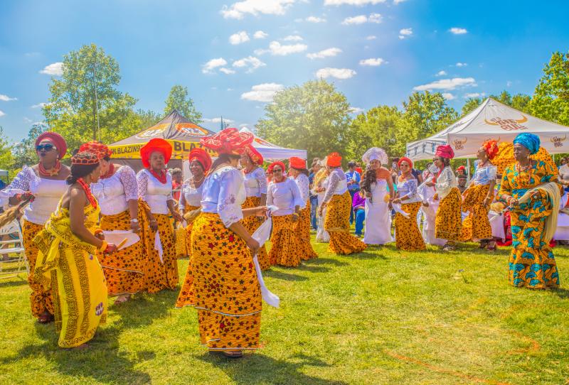 Pan African Festival of Georgia
