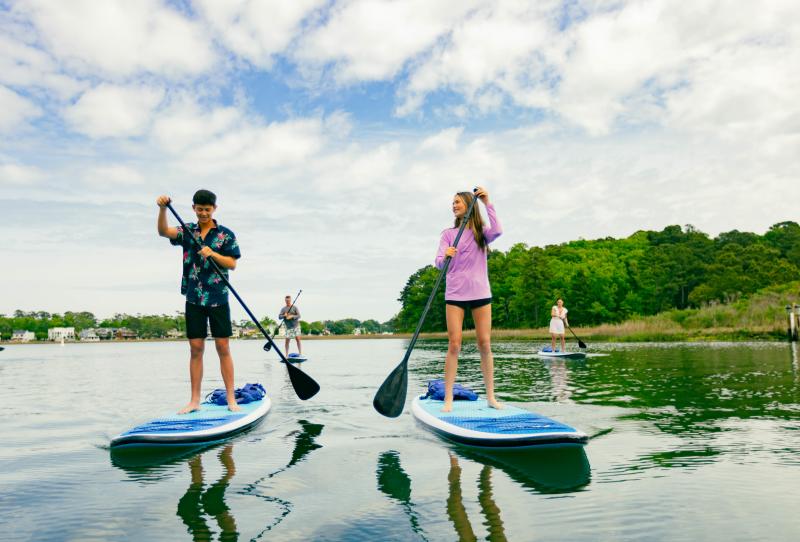 two people stand up paddle boarding on open water