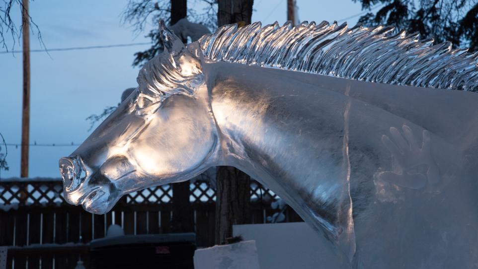 Ice Sculpture Viewing Fairbanks Alaska