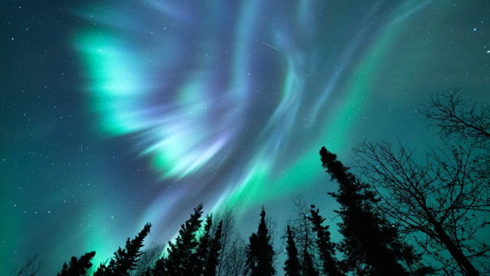 World Famous Northern Lights Viewing Explore Fairbanks Alaska