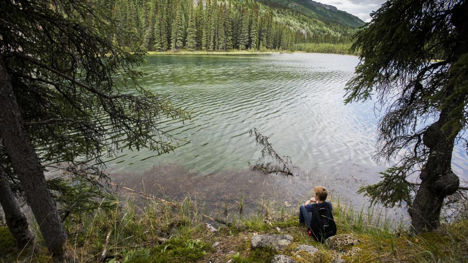 Horseshoe lake trail denali clearance