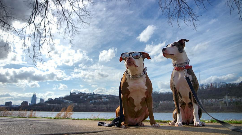 Tyson and Liddy at Bellevue Beach Park (photo: Eric Vice)