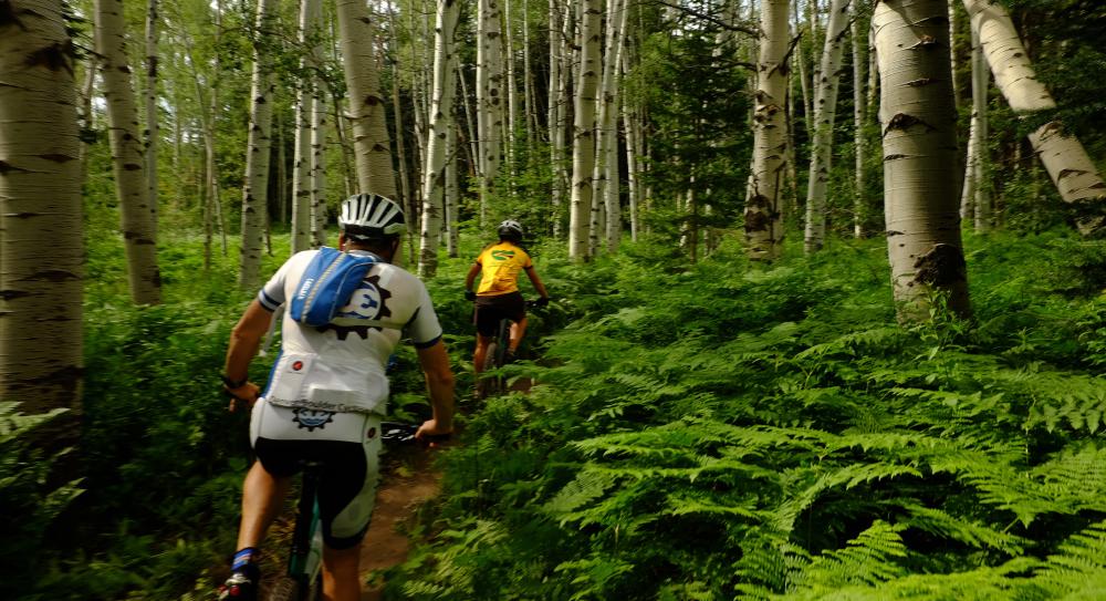 Flash of Gold trail recently open for mountain bikers on Buffalo Pass
