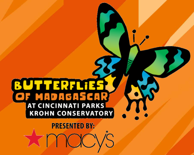 An orange sign with Butterflies of Madagascar written on it and a drawing of a blue and orange butterfly