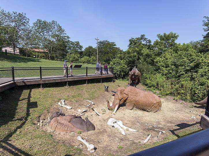 big bone lick features a newly remodeled visitor center and museum with outdoor exhibits