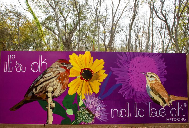 Birds Mural at Cullinan Park and Conservancy