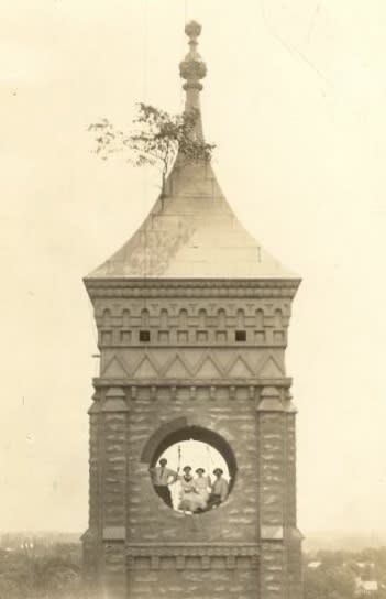 History of Tower Tree