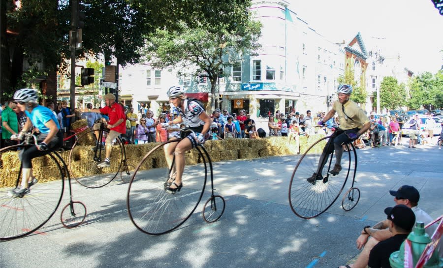 People On High-Wheel Bikes At The Frederick High Wheel Race