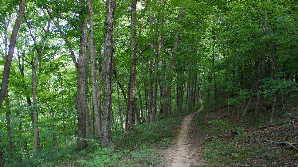 East Fork State Park single track