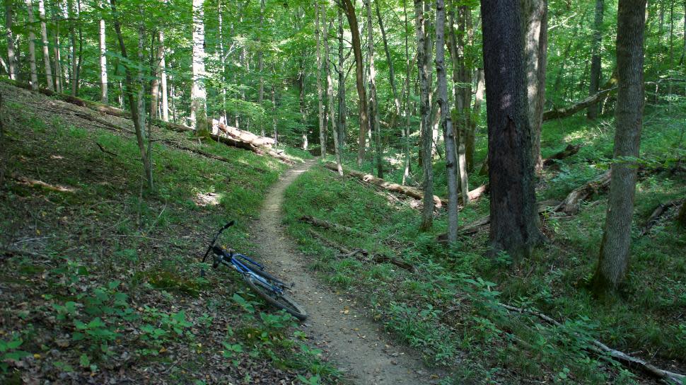 East Fork Mountain Bike Trails