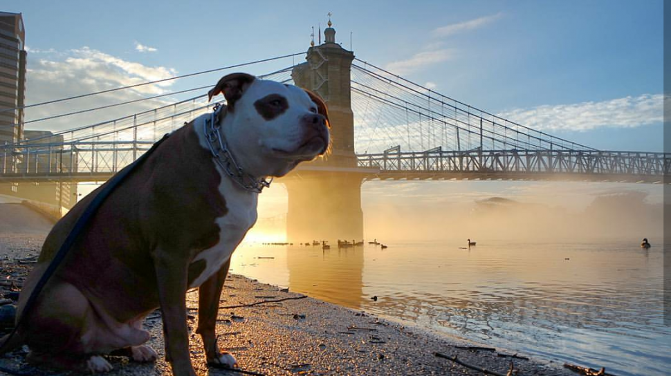 Tyson on the riverfront (photo: Eric Vice)