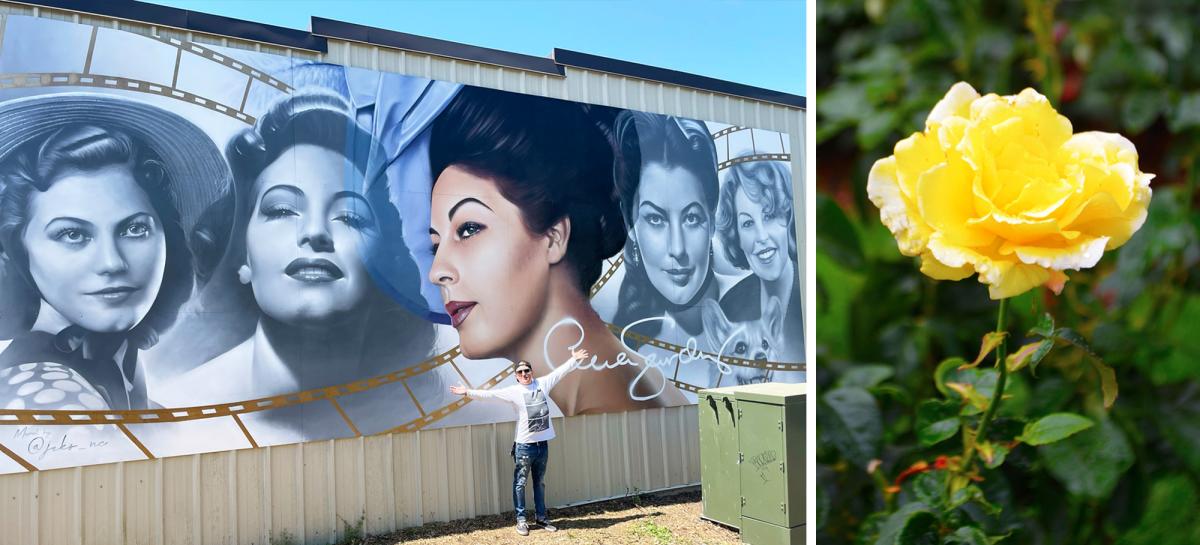 Ava Gardner Mural and Rose Garden