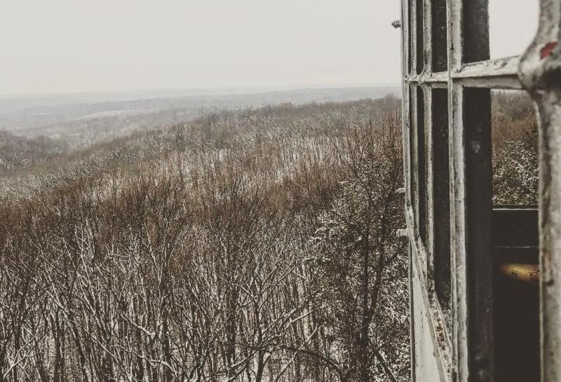 A view of snow-covered trees in the Hoosier National Forest from the Hickory Ridge Fire Tower