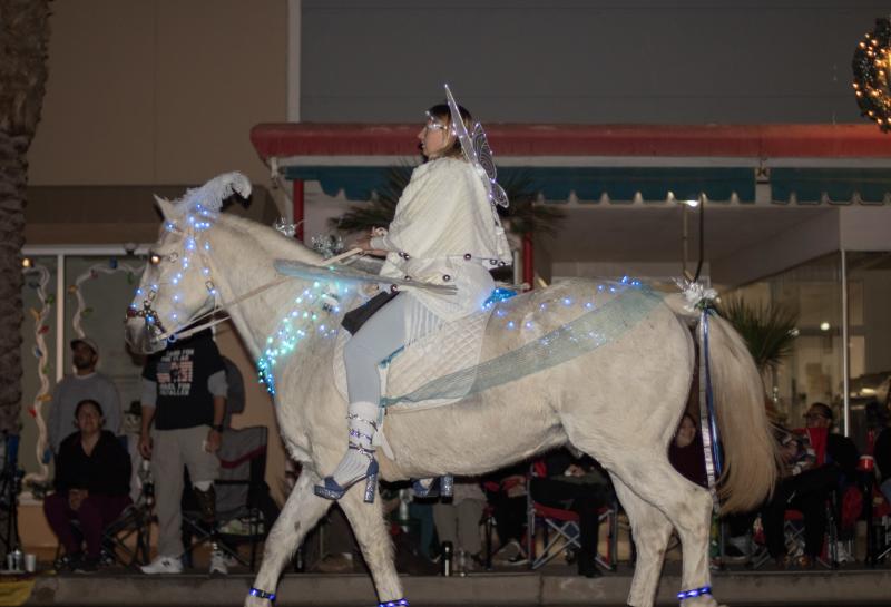Best Animal 2024 Saddles of joy