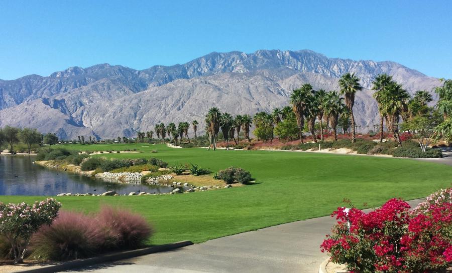 Sunny Palm Springs golf course featuring lush greens, a reflective water hazard, and palm trees set against the rocky San Jacinto Mountains.