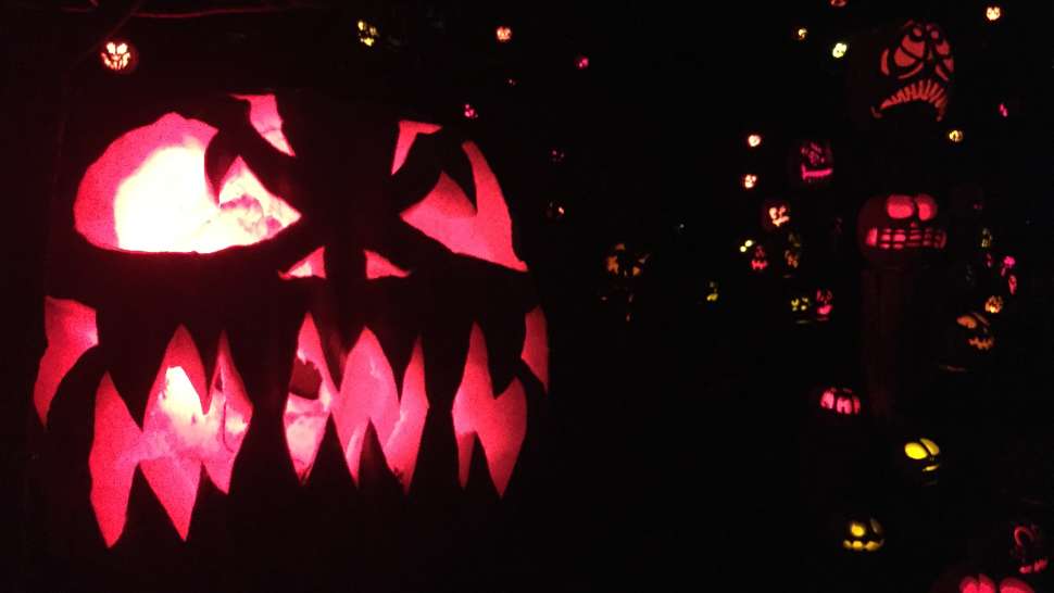 Jack-O-Lantern Spectacular
