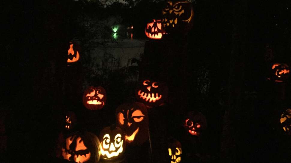 Jack-O-Lantern Spectacular