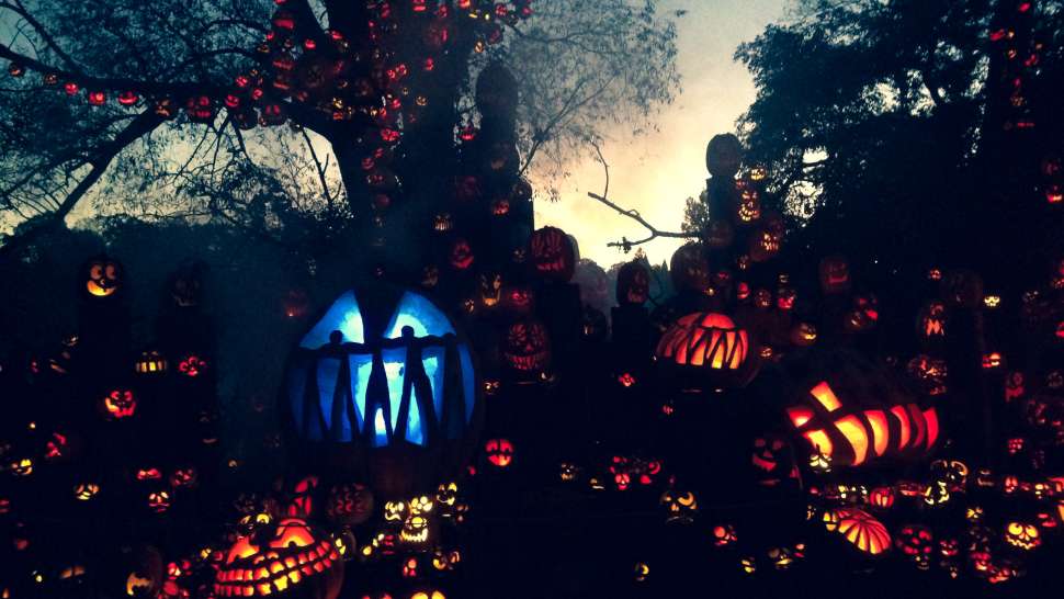 Jack-O-Lantern Spectacular