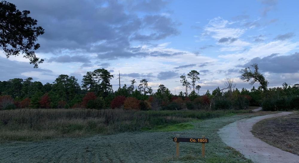 Bastrop State Park