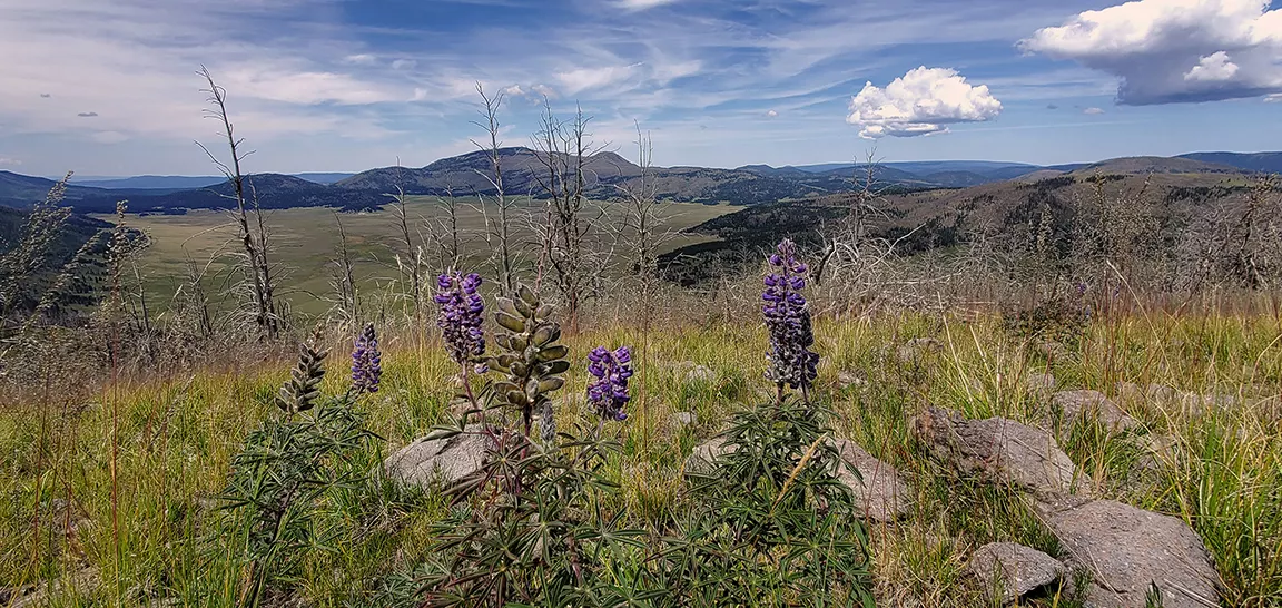 Valles Caldera