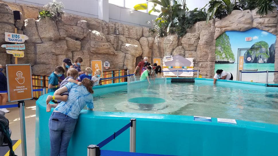 Stingray Hideaway at Newport Aquarium (photo: Newport Aquarium)