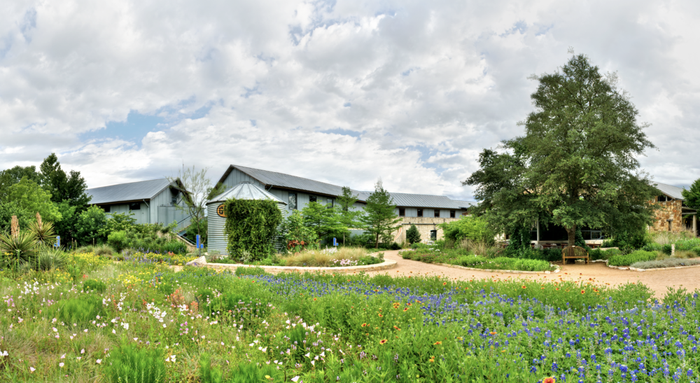 Wide shot of the Lady Bird Johnson Wildflower Center with a large metal building and field of multi-colored wildflowers.