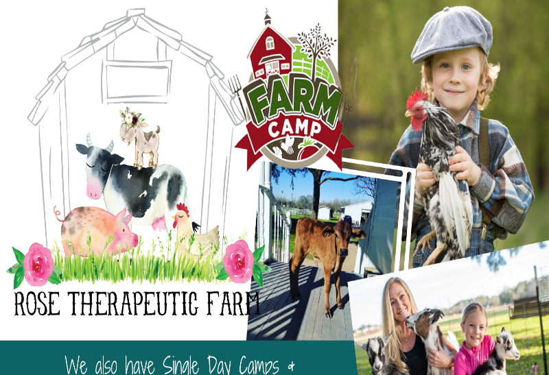 Farm Life Summer Camp