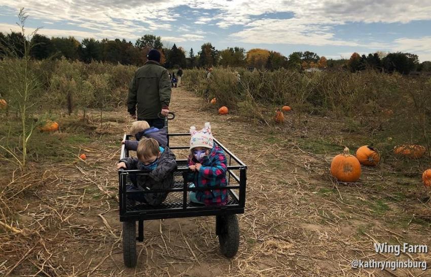 Kids at pumpkin patch at Wing Farms