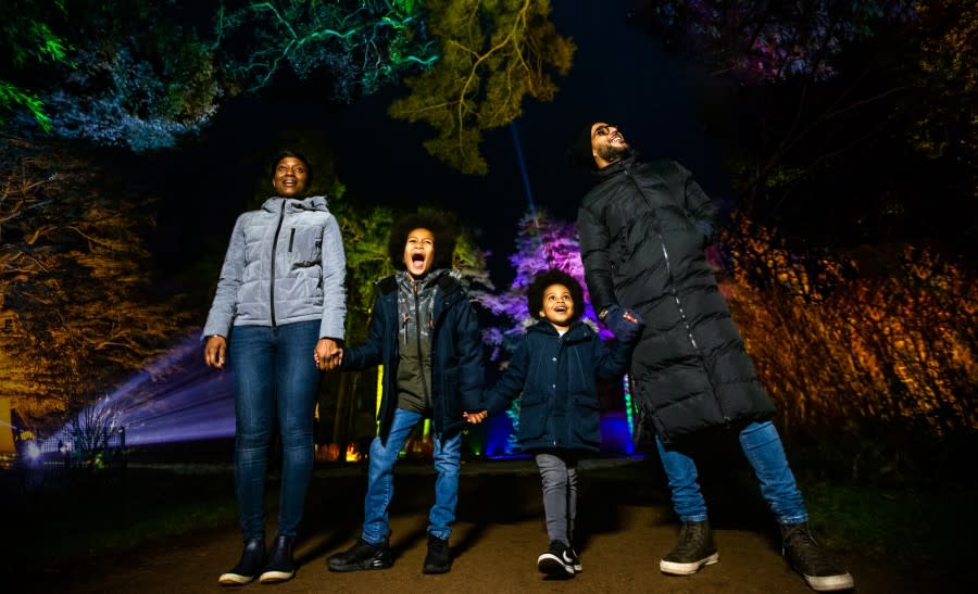 Enchanted Christmas at Westonbirt Arboretum