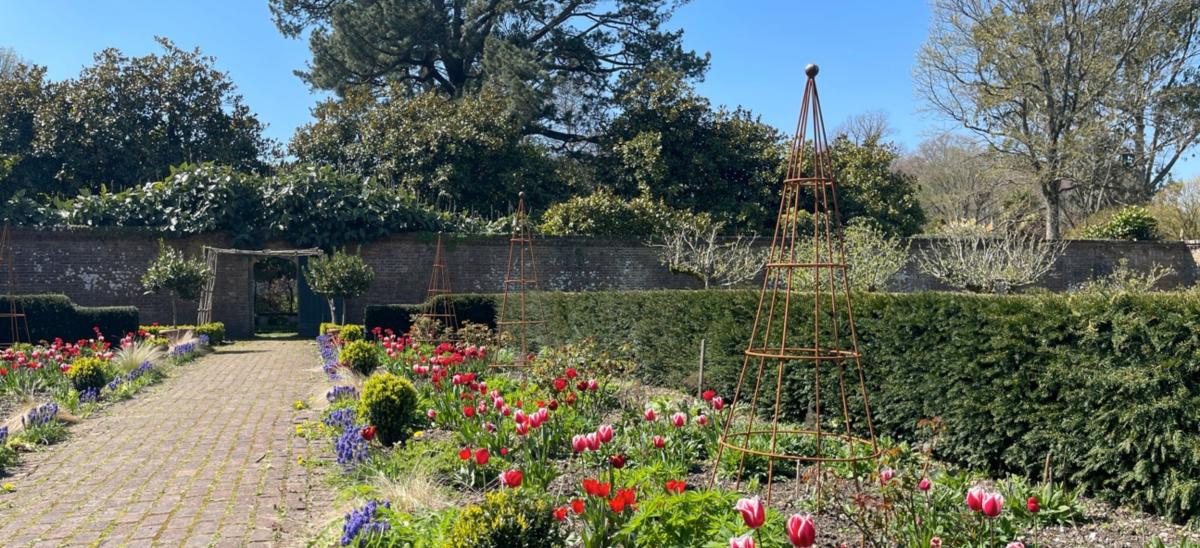 Athelhampton Gardens in Dorset during springtime