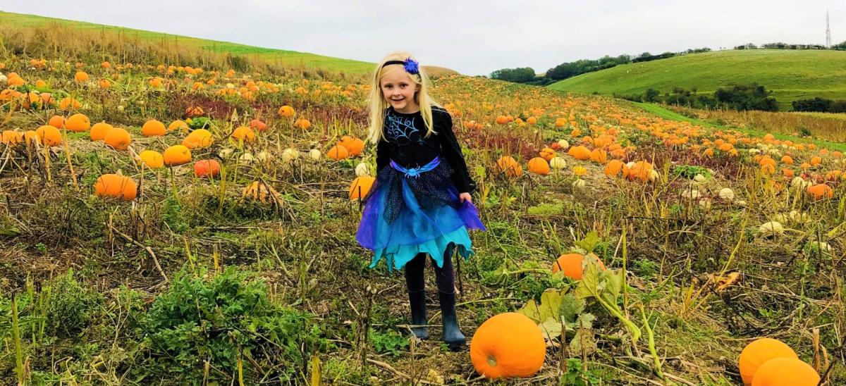 A girl in a witches Halloween costume at the Bincombe Bumps pumpkin picking fields near Weymouth in Dorset
