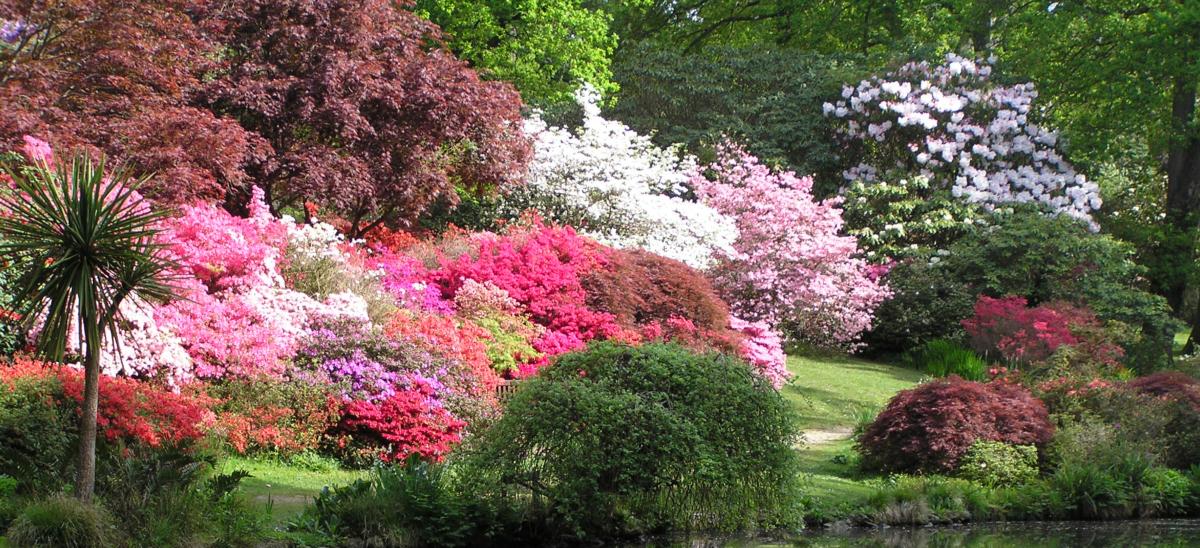 Exbury Gardens in Hampshire during springtime