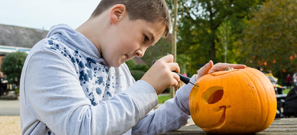 A boy carving an orange pumpkin at Exbury Gardens in Hampshire