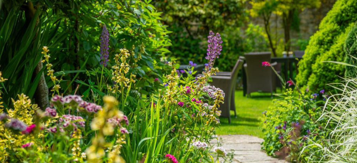 Picture shows the beautiful garden at The Ollerod in the summertime