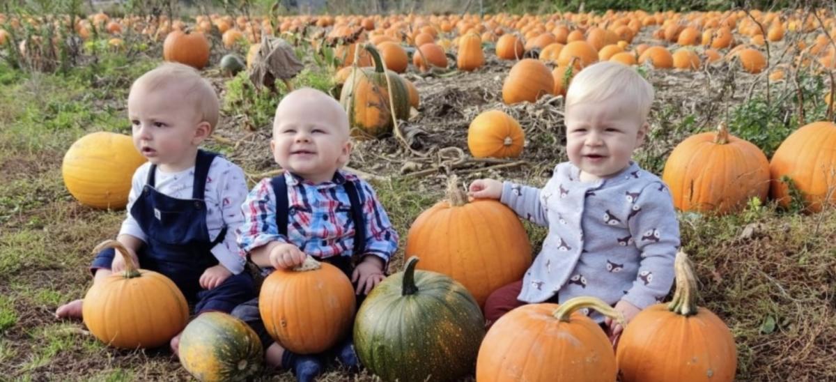 Three babies sitting in a field of pumpkins at Gorcombe Farm in Dorset