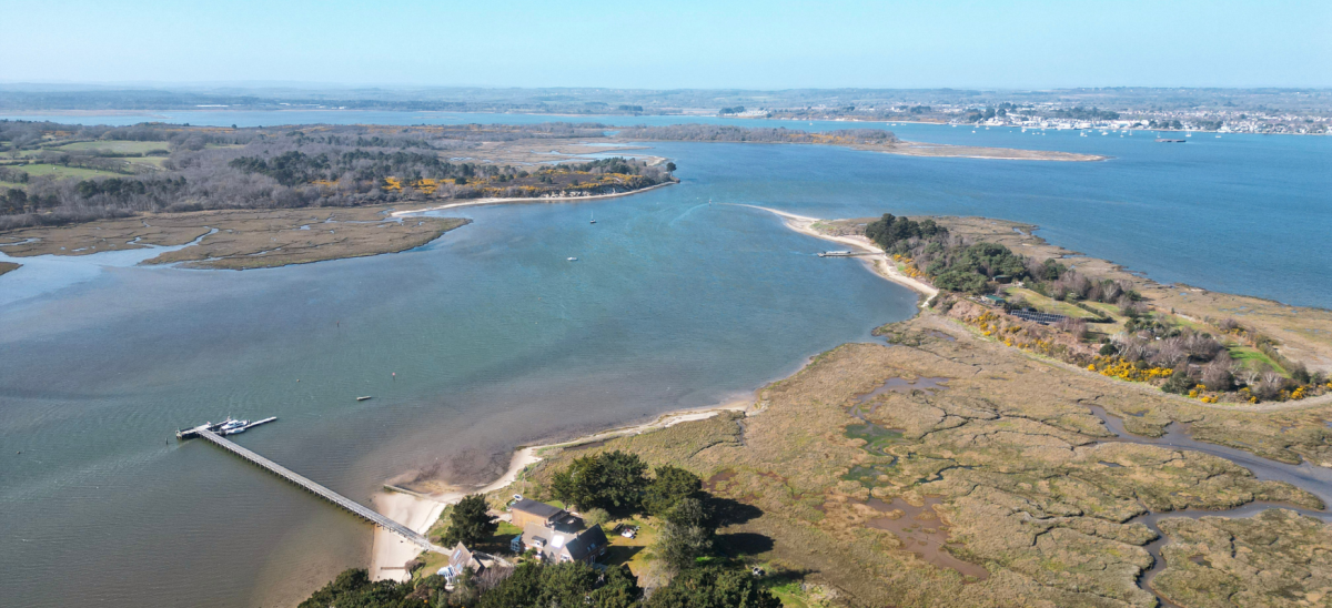 Poole Harbour and Arne