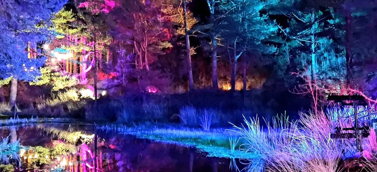 Illuminated trees and reflections at the Blue Pool in Dorset