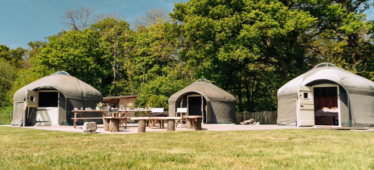 Three yurts at Stock Gaylard Glamping in Dorset