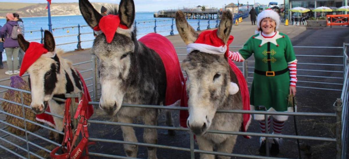 A Christmas elf and three donkeys with hats on at Swanage Pier in Dorset