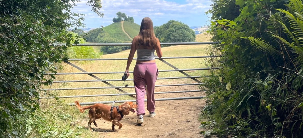 Blog - Rachel ETW