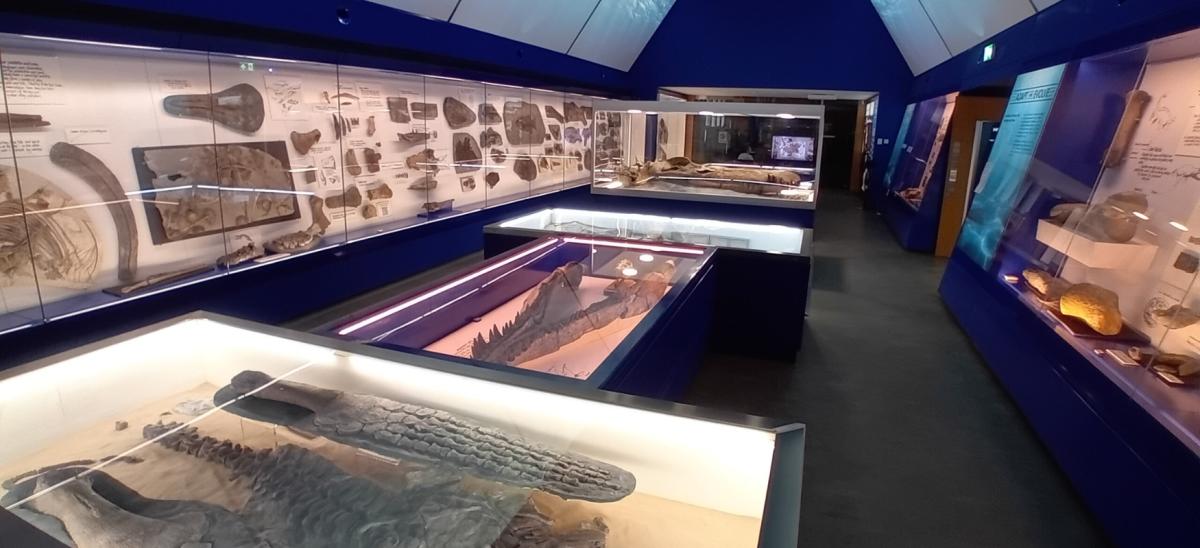 Museum of Jurassic Marine Life, The Etches Collection at Kimmeridge in Dorset