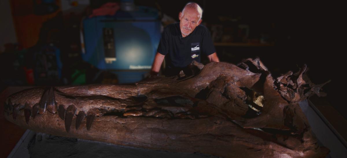 Dr. Steve Etches MBE with Pliosaur fossilised skull at The Etches Collection Museum of Jurassic Marine Life