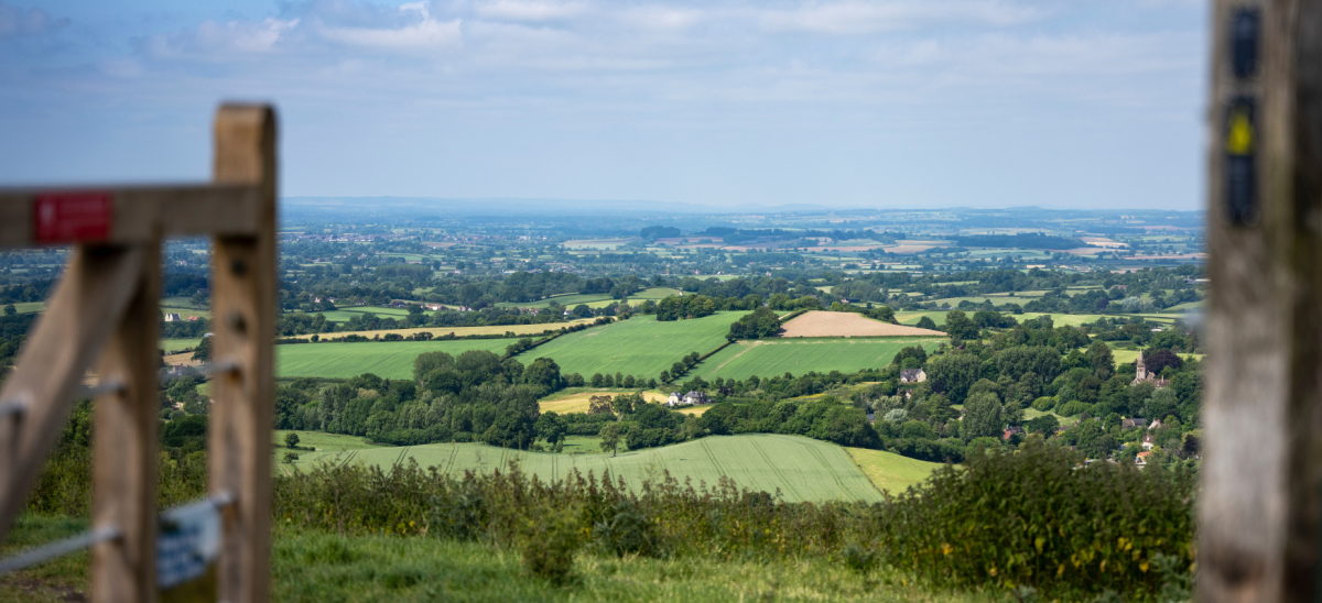 Image shows a gate looking out over expansive countryside views in Dorset.