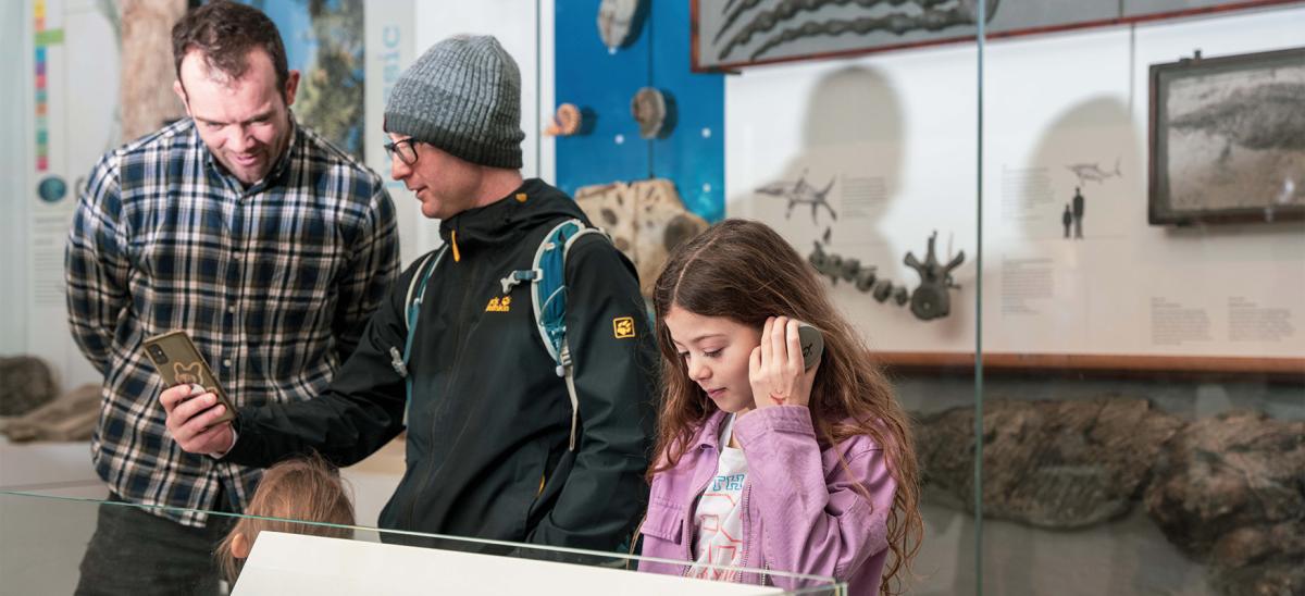 Visitors looking at a fossil exhibition at Dorset Museum & Art Gallery